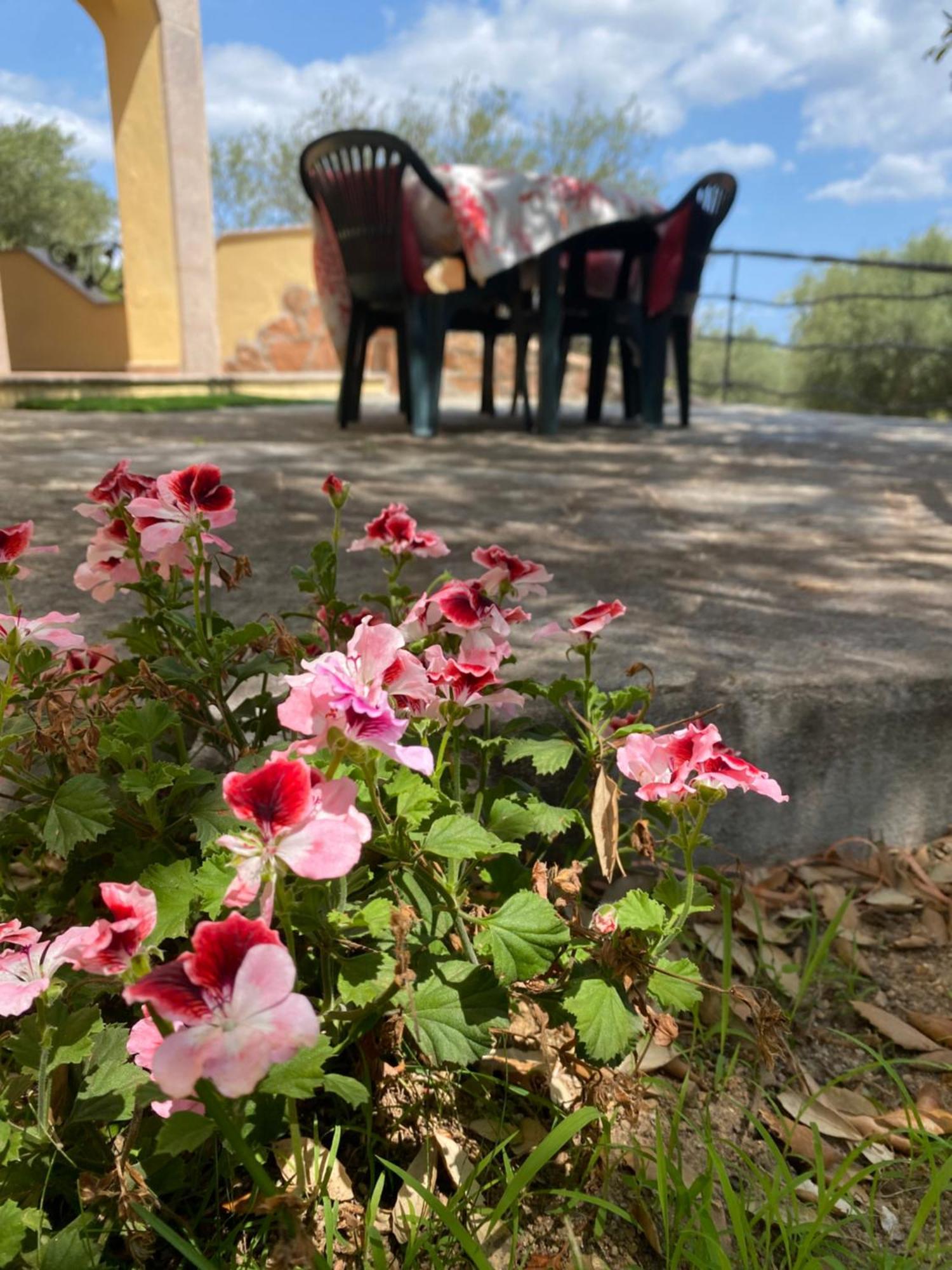 Case Vacanze Villa Rosita Сан Теодоро Екстериор снимка
